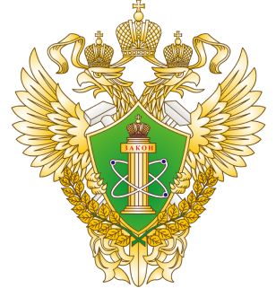 Федеральная служба судебных приставов